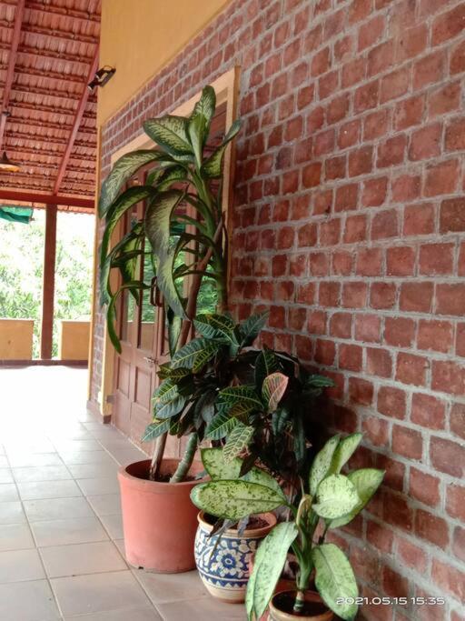 Sohana Eco Retreat Farmhouse - Karjat Chinchavli Экстерьер фото