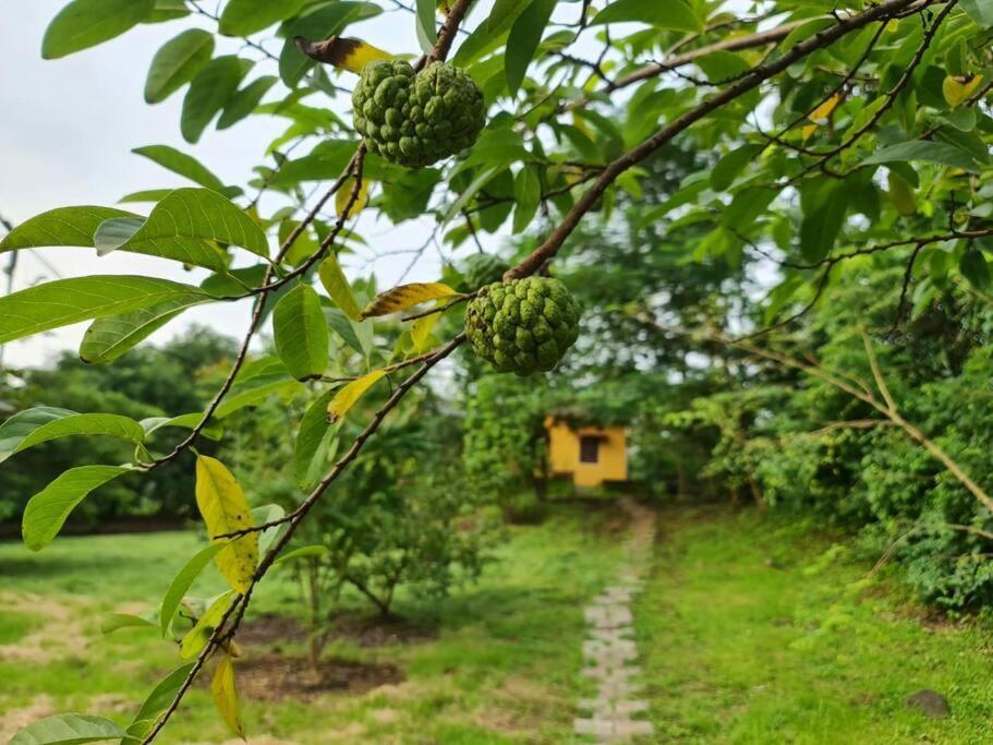 Sohana Eco Retreat Farmhouse - Karjat Chinchavli Экстерьер фото